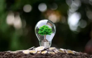 Finanzas digitales suman a la lucha contra el cambio climático